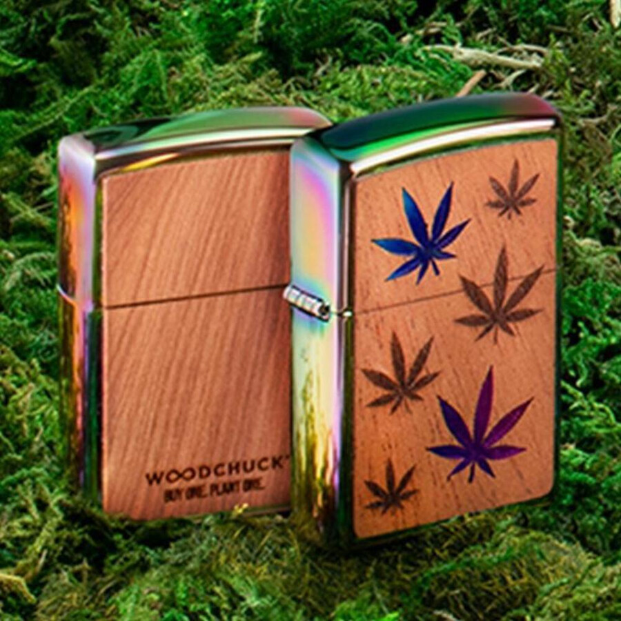 emblema de hojas multicolor de woodchuck usa