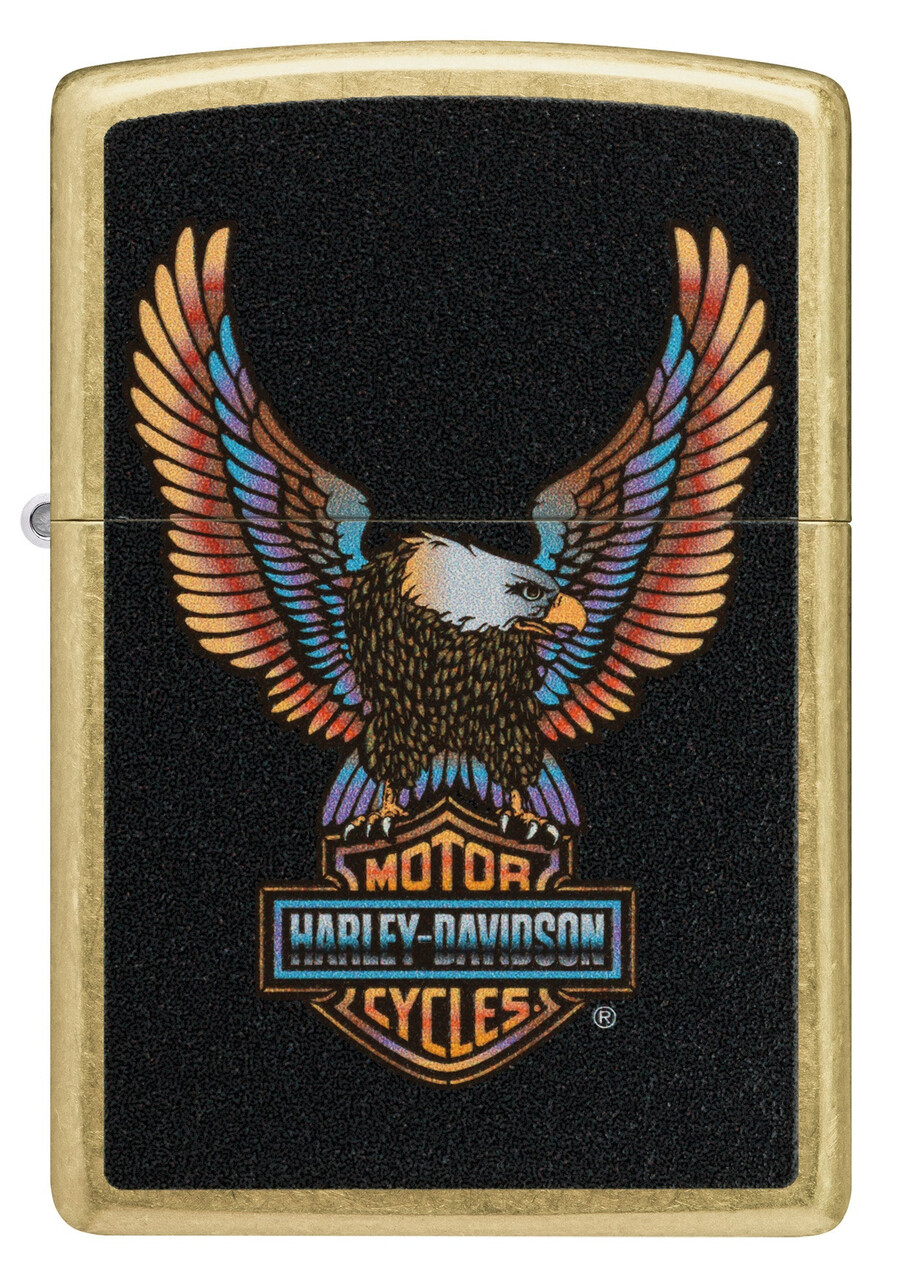 diseño de águila de harley-davidson
