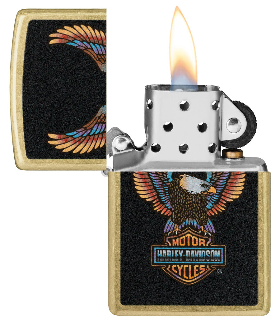 diseño de águila de harley-davidson